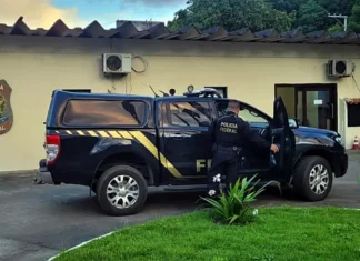 PF e CVM desarticulam fraudadores de fundos de investimento