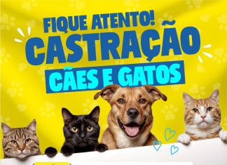 Castramóvel de Cotia estreia atendimento nos dias 7, 8 e 9/03/25