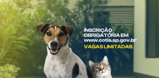 Cotia abre inscrições para castração de cães e gatos que acontece nos dias 6 e 7/05