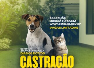 Cotia abre inscrições para castração de cães e gatos que acontece nos dias 6 e 7/05