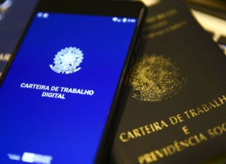 Desemprego registra queda em 22 unidades da federação