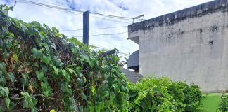 Programa Morar Bem já transformou a vida de 300 famílias de Barueri com suas reformas