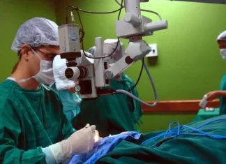 Convênio pode estimular e agilizar doação de órgãos no país
