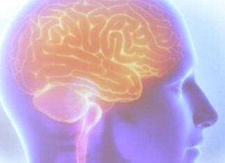 Lapsos de memória podem não significar doença mental, diz psiquiatra
