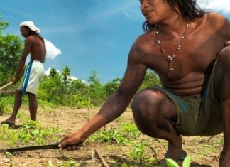 Edital elege 14 comunidades do Cerrado para projetos de preservação