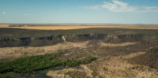 Governo monta força-tarefa para conter desmatamento no Cerrado