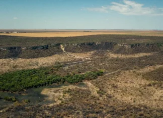 Governo monta força-tarefa para conter desmatamento no Cerrado