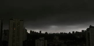 Temporal em SP derruba árvores e deixa moradores sem luz