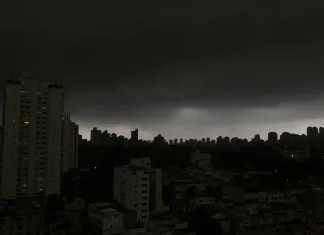 Temporal em SP derruba árvores e deixa moradores sem luz