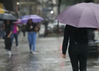 Municípios paulistas têm deslizamentos e alagamentos devido às chuvas