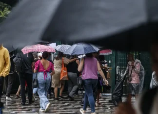 Defesa Civil Alerta entra em operação nos estados do Sul e Sudeste