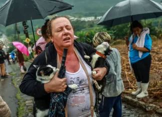Chuvas no RS: por que chove tanto no estado?; entenda as causas