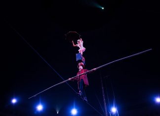 Fim de semana tem Bienal do Samba e Festival de Circo em SP