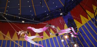 Circo ganha reconhecimento em lei como manifestação da cultura nacional Circo ganha reconhecimento em lei como manifestação da cultura nacional