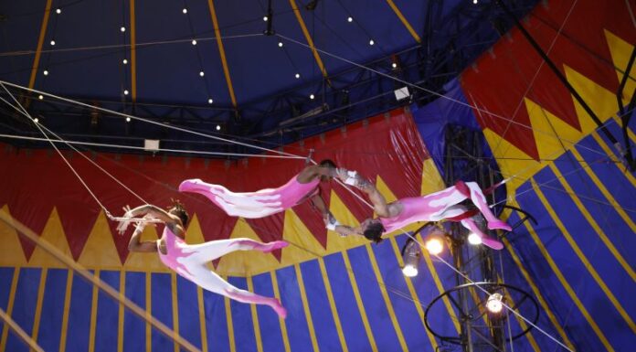 Circo ganha reconhecimento em lei como manifestação da cultura nacional Circo ganha reconhecimento em lei como manifestação da cultura nacional