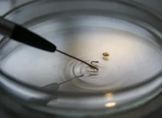 Brasil supera 1 mil mortes por dengue este ano