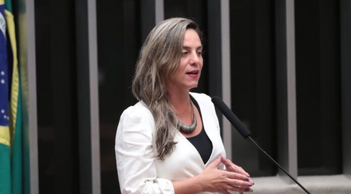 Comissão aprova ampliação do acesso de professores a livros de sua área de atuação Comissão aprova ampliação do acesso de professores a livros de sua área de atuação