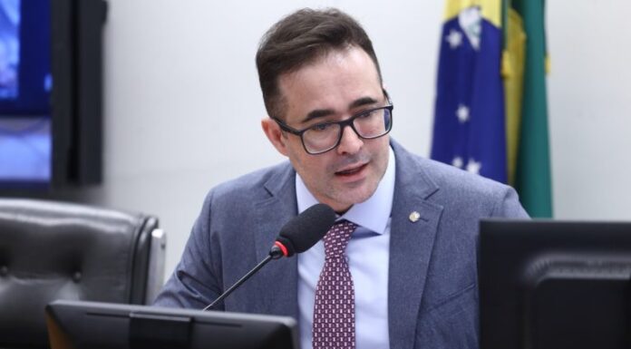 Comissão aprova autorização para refugiados trazerem animais ao Brasil Comissão aprova autorização para refugiados trazerem animais ao Brasil