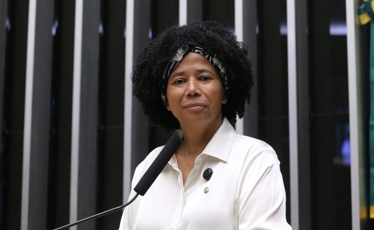 Discussão e votação de propostas legislativas. Dep. Silvia Cristina (PP-RO)