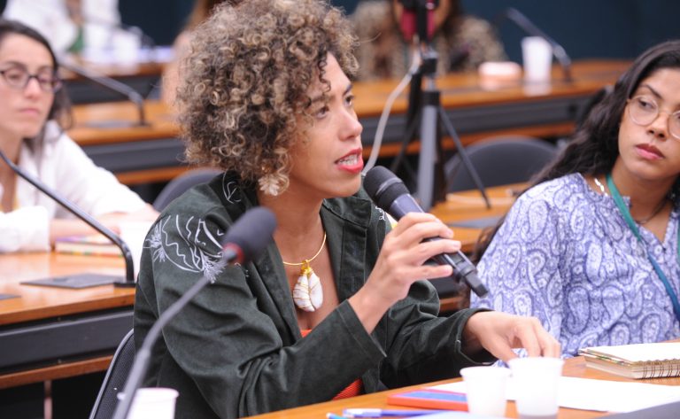 Audiência Pública - Misoginia em rede: radicalização digital, disseminação do ódio contra mulheres. Dep. Talíria Petrone (PSOL-RJ)