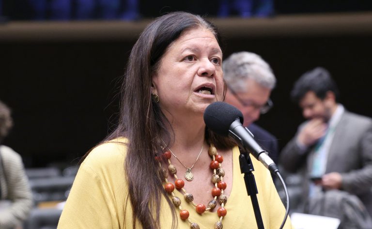 Discussão e Votação de propostas legislativas. Dep. Laura Carneiro (PSD - RJ)
