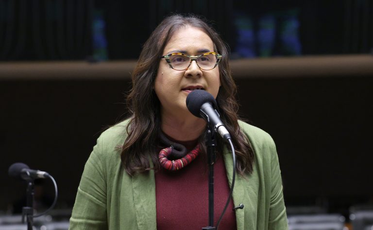 Discussão e Votação de propostas legislativas. Dep. Duda Salabert (PSOL - MG)