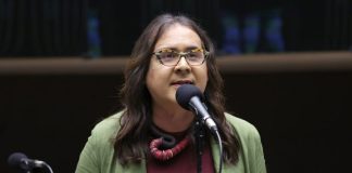 Comissão aprova garantia de direitos e proteção a indígenas LGBTIA+ no Brasil Comissão aprova garantia de direitos e proteção a indígenas LGBTIA+ no Brasil