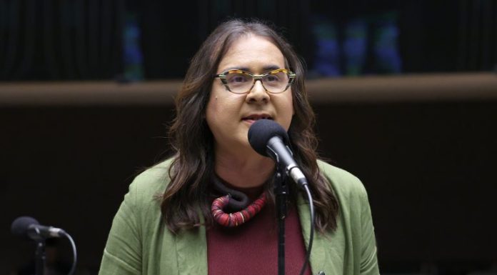 Comissão aprova garantia de direitos e proteção a indígenas LGBTIA+ no Brasil Comissão aprova garantia de direitos e proteção a indígenas LGBTIA+ no Brasil