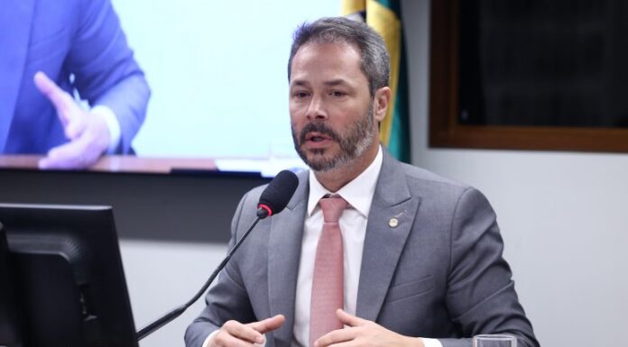 Comissão aprova medidas de proteção à abelha sem ferrão Comissão aprova medidas de proteção à abelha sem ferrão
