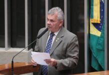 Comissão aprova porte de arma para agentes de fiscalização ambiental Comissão aprova porte de arma para agentes de fiscalização ambiental