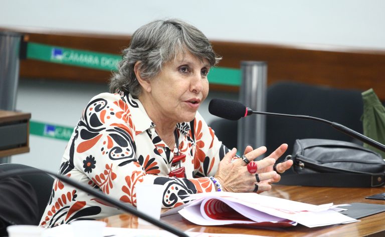 Audiência Pública - Direito de Migrar. Dep. Erika Kokay (PT-DF)