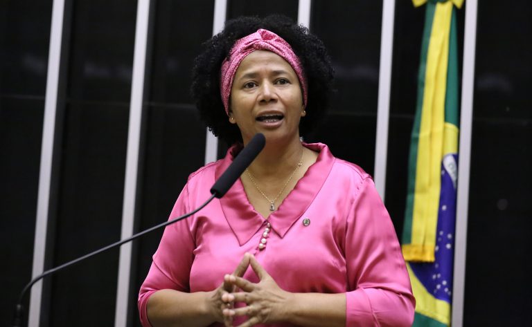 Deputada Silvia Cristina fala ao microfone