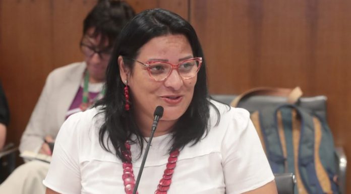 Comissão aprova projeto que garante proteção de grávida de gêmeos no SUS Comissão aprova projeto que garante proteção de grávida de gêmeos no SUS