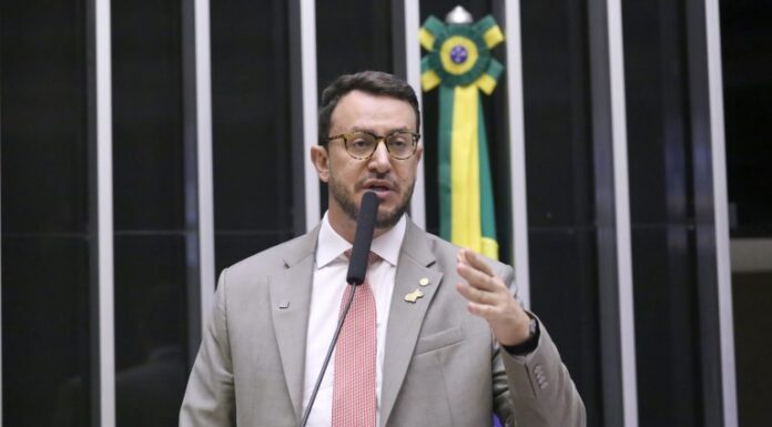 Comissão aprova regras para serviços de cuidadores e passeadores de cães Comissão aprova regras para serviços de cuidadores e passeadores de cães