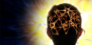 Comissão de Saúde promove debate sobre neurociências e saúde mental no âmbito do G20 Comissão de Saúde promove debate sobre neurociências e saúde mental no âmbito do G20