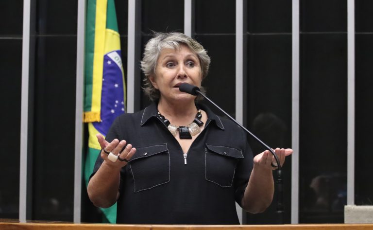 Deputada Erika Kokay (PT-DF) fala no Plenário da Câmara dos Deputados