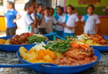 Comissão debate reajuste automático anual no Programa Nacional de Alimentação Escolar Comissão debate reajuste automático anual no Programa Nacional de Alimentação Escolar