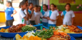 Comissão debate reajuste automático anual no Programa Nacional de Alimentação Escolar Comissão debate reajuste automático anual no Programa Nacional de Alimentação Escolar