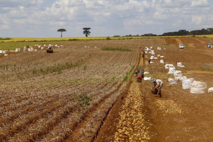 Comissão debate regras para contratação de trabalhador agrícola safrista