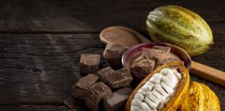 Comissão debate sustentabilidade na produção e na comercialização de cacau e chocolate Comissão debate sustentabilidade na produção e na comercialização de cacau e chocolate