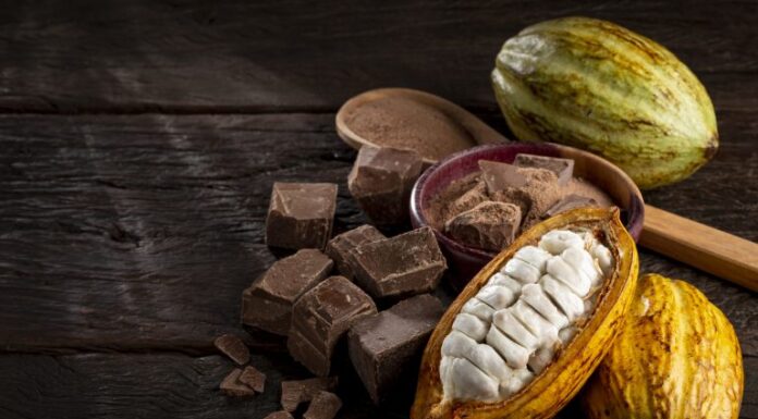 Comissão debate sustentabilidade na produção e na comercialização de cacau e chocolate Comissão debate sustentabilidade na produção e na comercialização de cacau e chocolate