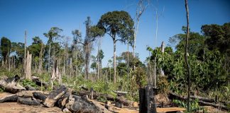Comissão discute crimes ambientais, agronegócio e fundos de investimento; participe Comissão discute crimes ambientais, agronegócio e fundos de investimento; participe