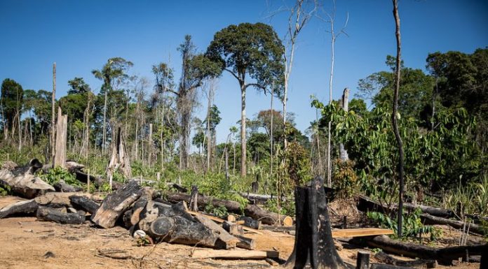 Comissão discute crimes ambientais, agronegócio e fundos de investimento; participe Comissão discute crimes ambientais, agronegócio e fundos de investimento; participe