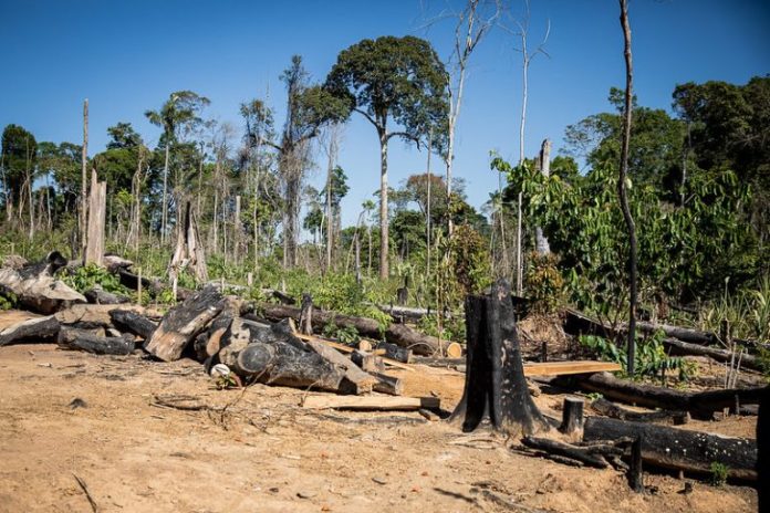Comissão discute crimes ambientais, agronegócio e fundos de investimento; participe