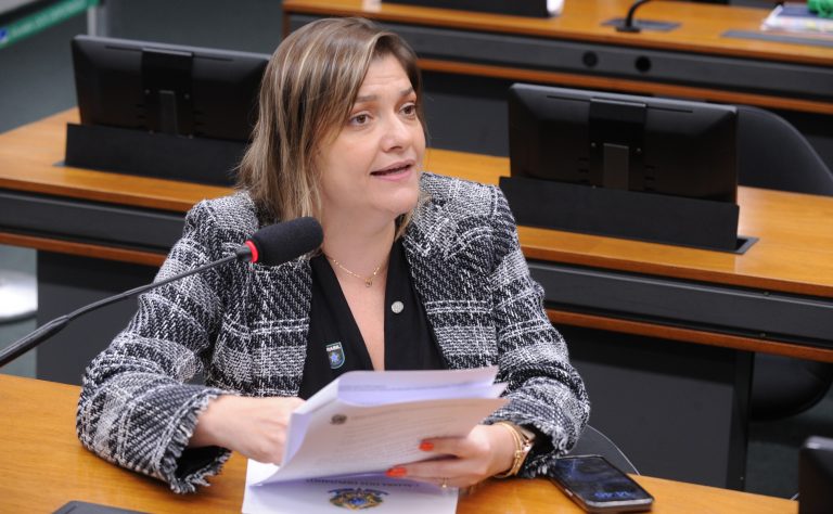 - Audiência Pública - Tribuna das mulheres, discussão e votação de propostas legislativas. Dep. Professora Luciene Cavalcante (PSOL-SP)
