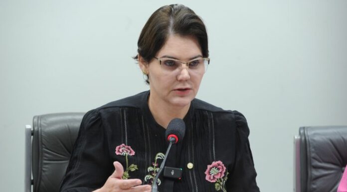 Comissão rejeita projeto que proíbe marcação de animais com ferro quente Comissão rejeita projeto que proíbe marcação de animais com ferro quente