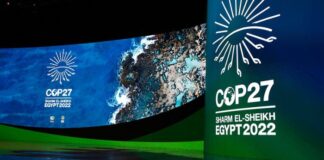 Brasil apresenta na COP27 projeto que pode recuperar áreas degradadas