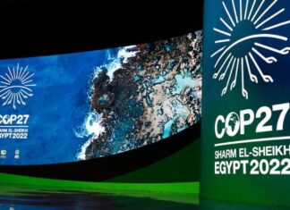 Brasil apresenta na COP27 projeto que pode recuperar áreas degradadas