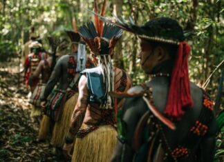 Projeto leva criadores de conteúdo para imersão em TI no Acre