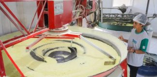 Cruzeiro do Sul, no Acre, recebe título de Capital Nacional da Farinha de Mandioca Cruzeiro do Sul, no Acre, recebe título de Capital Nacional da Farinha de Mandioca